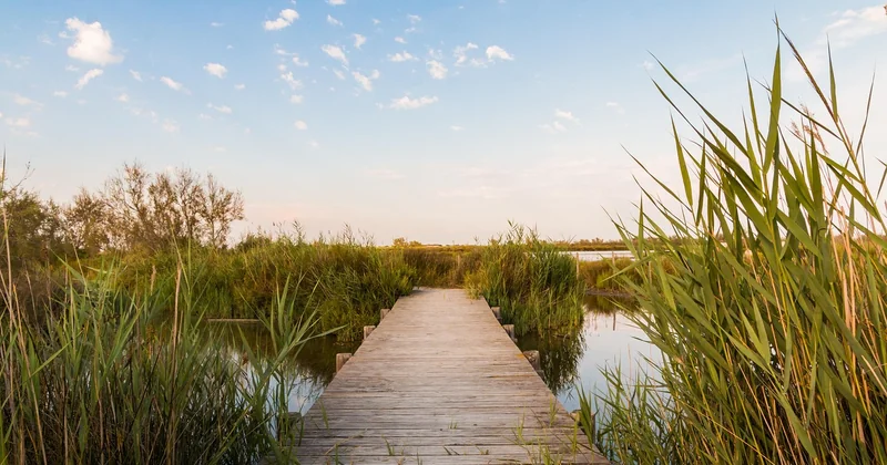 Quel est le plus bel endroit de la Camargue ?
